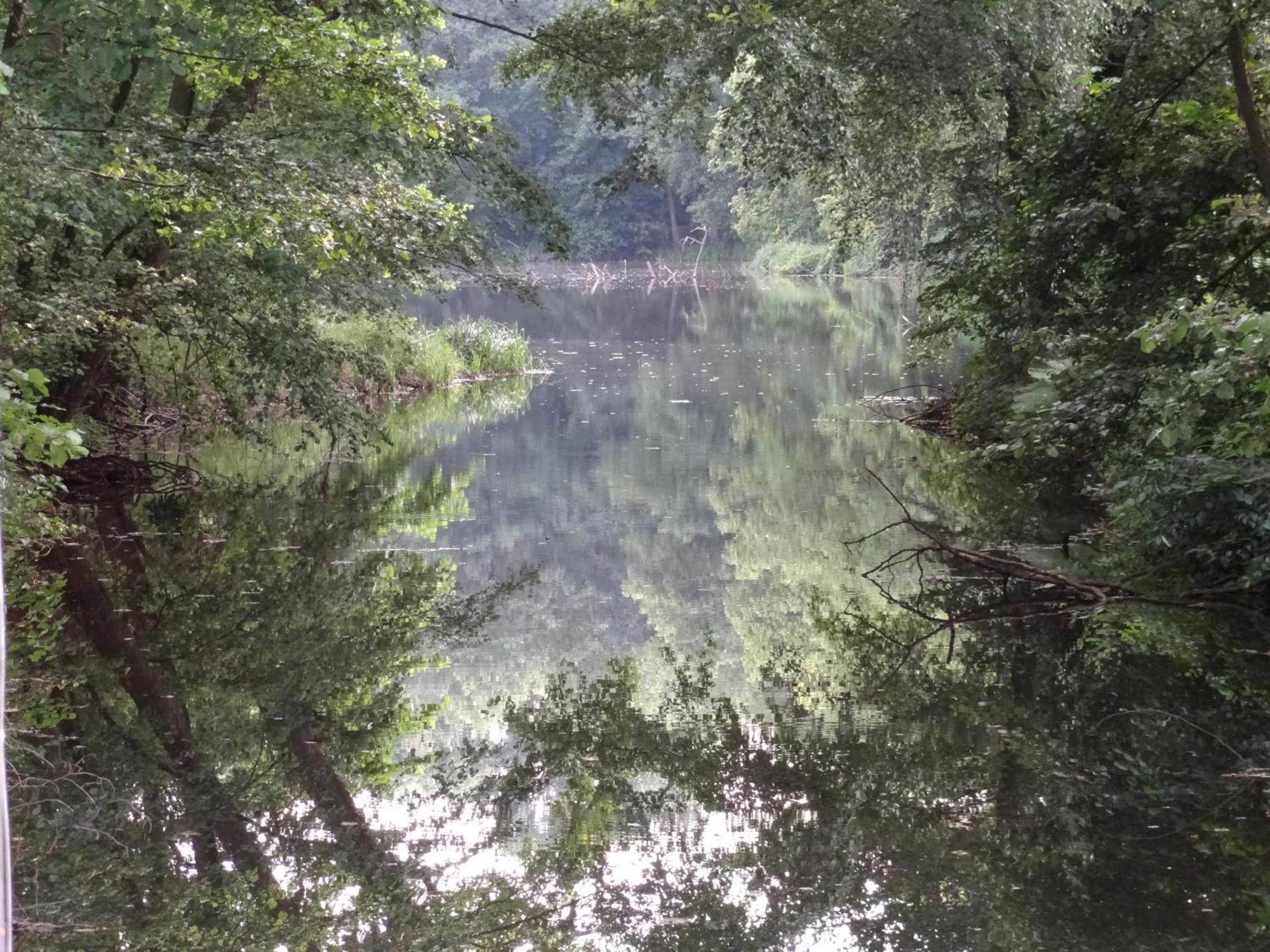Ferienhof Kchischowka Vetschau Bagian luar foto